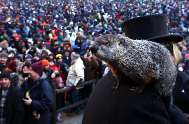 What does groundhog shop day mean